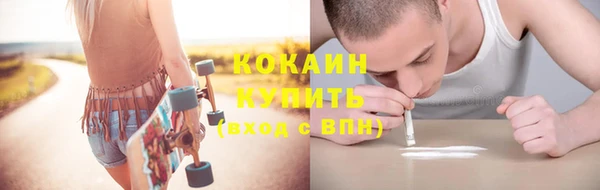 apvp Инта