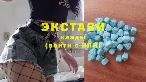 apvp Инта