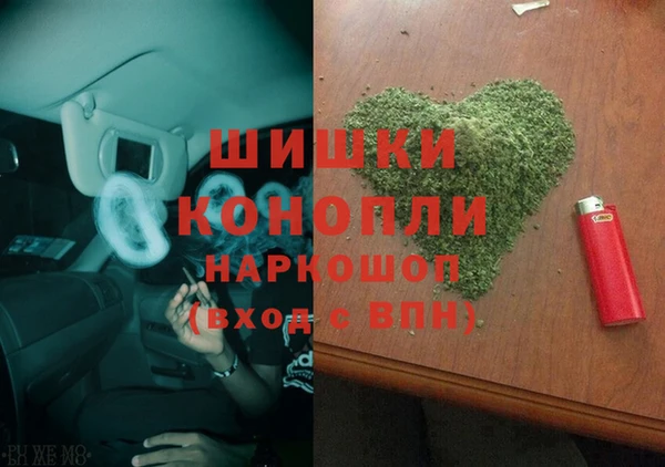 spice Инсар