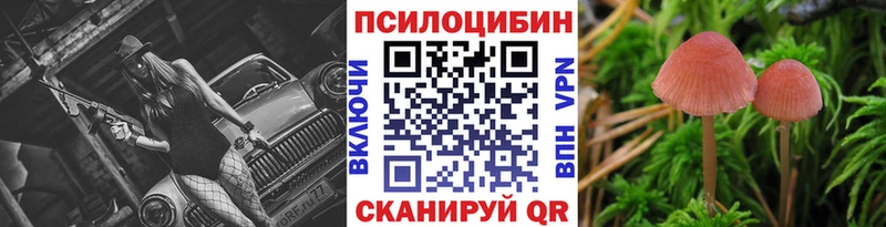 Галлюциногенные грибы прущие грибы  Купить  Губаха 